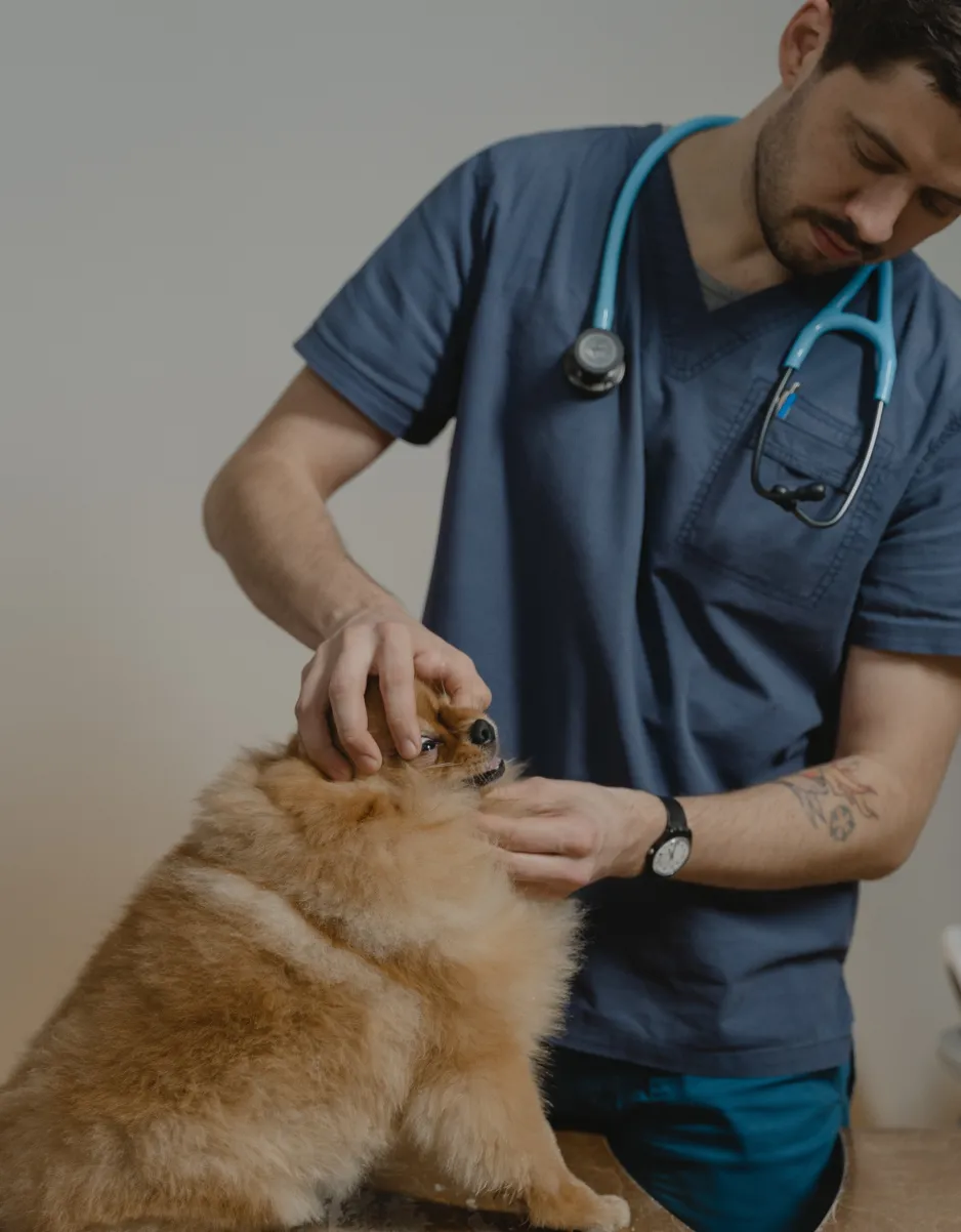 Médecine complémentaire