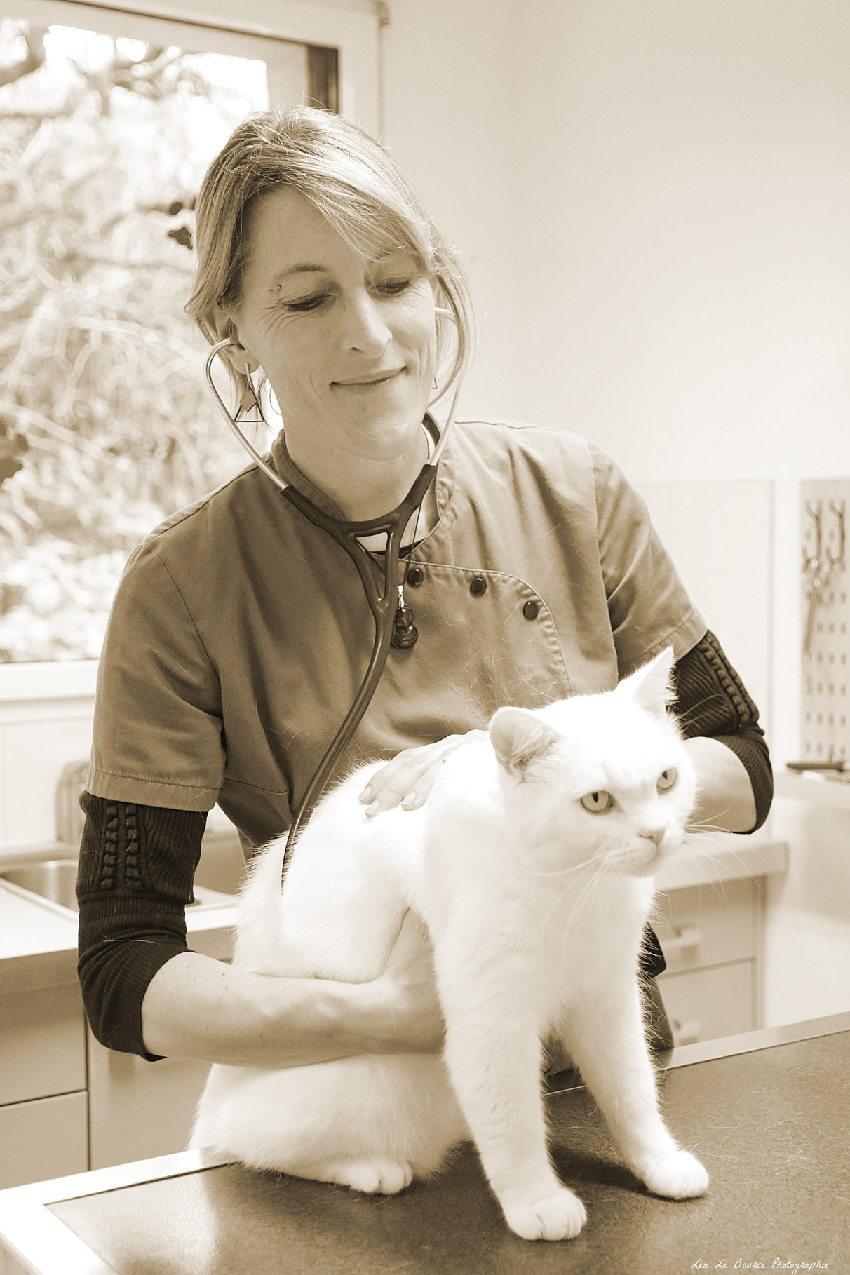 Portrait de Katy Rogel auscultant un chat blanc.